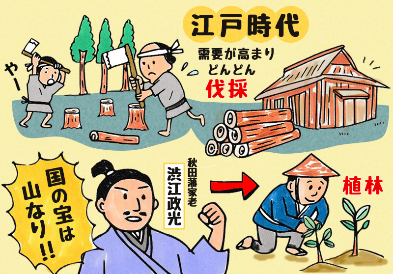 江戸時代から取り入れられた森林管理